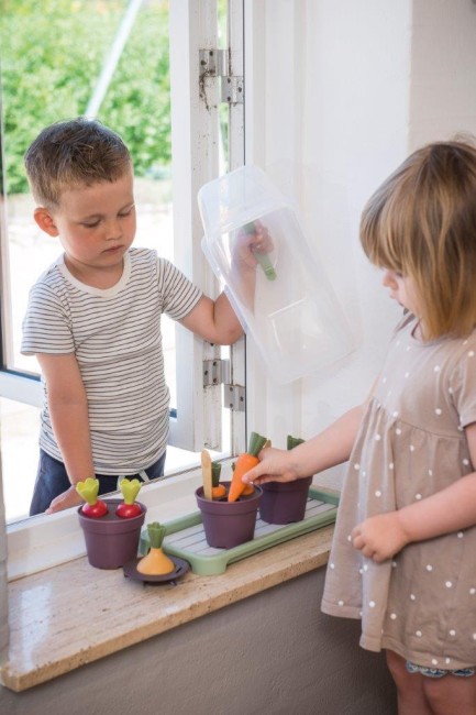 Mini szklarnia z roślinami Dantoy Green Garden