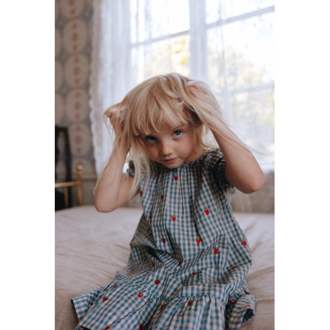 Floss sukienka Polly Berry Blue Gingham