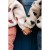 Konges Slojd Jody teddy jacket ladybug sand - Kurtka pluszowa dla dzieci