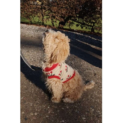 Ubranko Konges Slojd dla psa