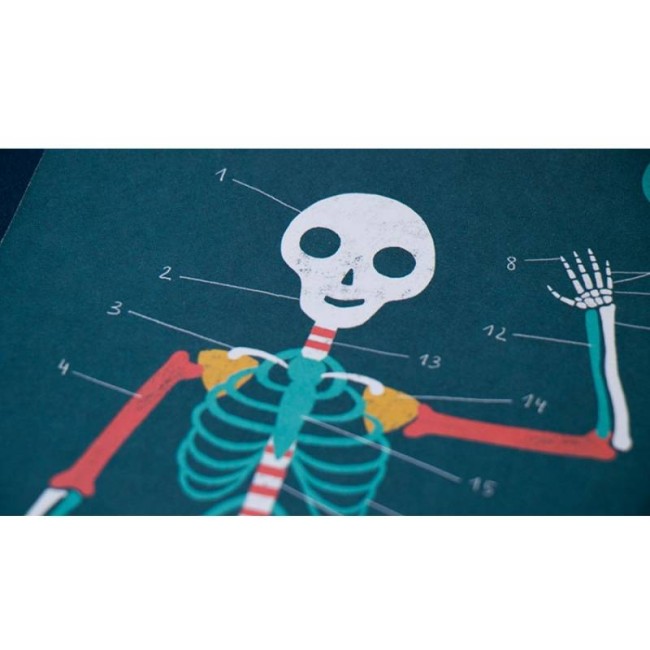 Londji Inside Me Moje wnętrze Gra edukacyjna