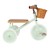 Banwood rowerek trójkołowy Trike Mint