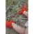 Konges Slojd Manuca swim shoes - Fiery red