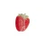 CLW2510.rs_79c0f72f-43b2-4cc5-9074-f5dd5d65130d.webp