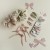 Ballet_Collection_2rgvv80zr-rz0m395w-1_large.jpg