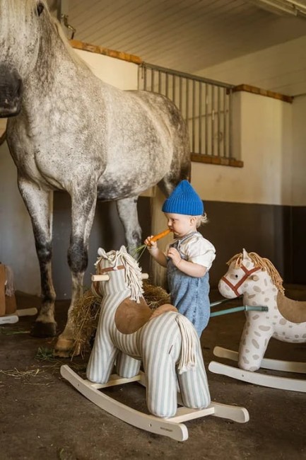 Kid's Concept - Konik na biegunach Dotty AIDEN