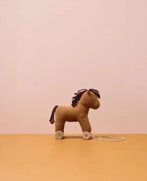 Kid's Concept - Konik do ciągnięcia Vera AIDEN