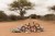 pol_pl_Little-Dutch-Przytulanka-laleczka-Rosa-Safari-Friends-GRS-6095_6.jpg