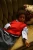 HARVEY KID BEELD 1.webp