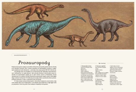 Dinozaurium - książka - Lily Murray, Chris Wormell