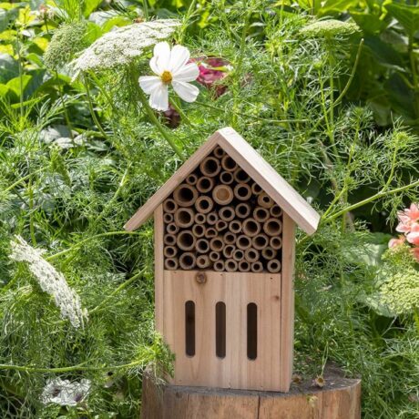 Domek dla pszczół i motyli Rex London